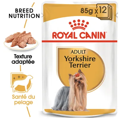 Royal Canin Adult Yorkshire Terrier, 85 g x12. Texte visible : Breed Nutrition, Texture adaptée, Santé du pelage. Photo de pâtée et illustration d’un Yorkshire Terrier.
