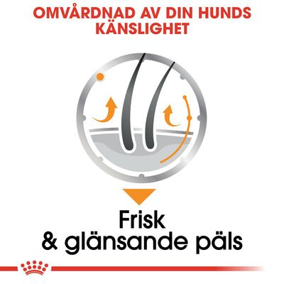 Omvårdnad av din hunds känslighet. Frisk & glansande päls.
