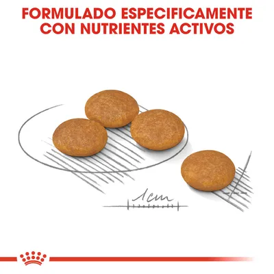 Cuatro croquetas redondas de aproximadamente 1 cm de diámetro. Texto: FORMULADO ESPECÍFICAMENTE CON NUTRIENTES ACTIVOS.