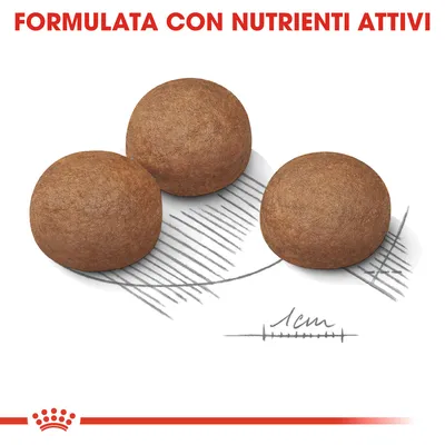 Tre crocchette tonde con testo in alto: FORMULATA CON NUTRIENTI ATTIVI e scala di riferimento 1 cm visibile sotto le crocchette.