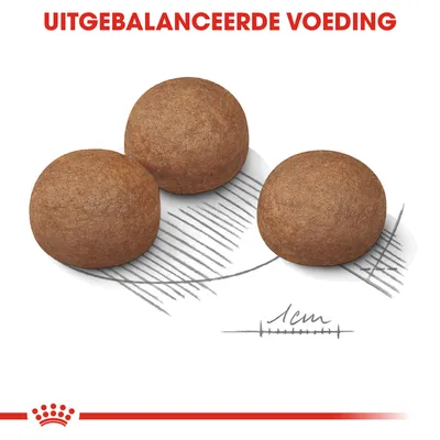 Drie ronde brokken met maatindicatie 1 cm en de tekst 'UITGEBALANCEERDE VOEDING' erboven, Royal Canin kroonlogo onderaan.