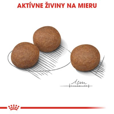 Tri okrúhle granule s mierkou 1 cm, nad nimi červený text: AKTÍVNE ŽIVINY NA MIERU. Značka Royal Canin v spodnej časti obrázka.