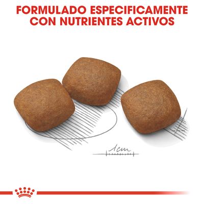 Tres croquetas de pienso con texto: Formulado específicamente con nutrientes activos. Escala visible de 1 cm para referencia de tamaño.