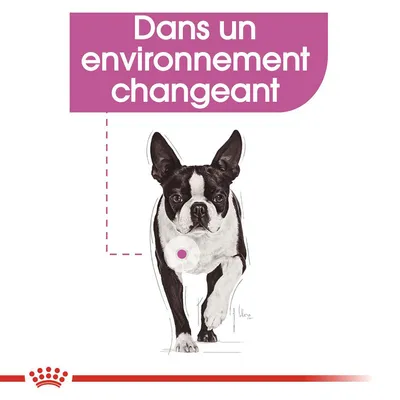 Texte visible : Dans un environnement changeant. Illustration d’un chien noir et blanc, couronne rouge stylisée en bas de l’image.