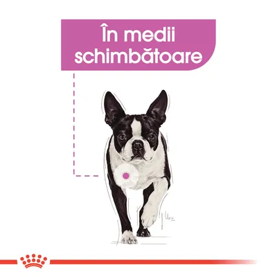 Text vizibil: „În medii schimbătoare”. Imagine cu un câine alb-negru și simbol Royal Canin în partea de jos.