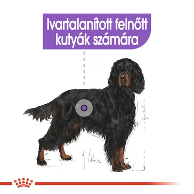 Ivartalanított felnőtt kutyák számára felirat, fekete kutya illusztrációval. A szöveg magyar nyelvű.