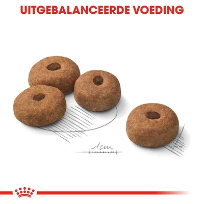 Vier ronde brokjes met gat in het midden, diameter circa 1 cm. Bovenaan staat de tekst: UITGEBALANCEERDE VOEDING.