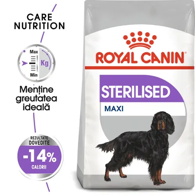 Pachet Royal Canin Sterilised Maxi cu imagine câine, text: Menține greutatea ideală, rezultate dovedite -14% calorii, Care Nutrition. Ambalaj alb cu mov și roșu.