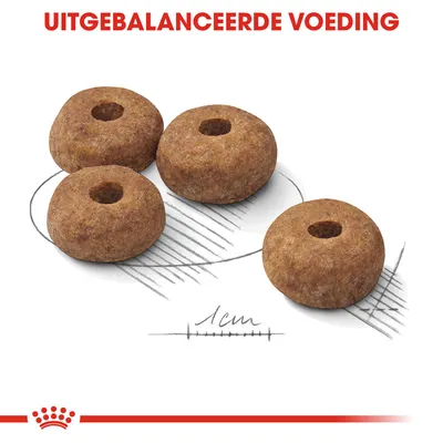 Vier ronde brokken met gat in het midden, diameter circa 1 cm. Bovenaan staat de tekst: 'UITGEBALANCEERDE VOEDING'.
