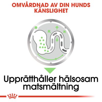 Text: Omvårdnad av din hunds känslighet. Upprätthåller hälsosam matsmältning. Illustration av matsmältningssystem med gröna pilar och prickar.