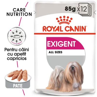 Pachet Royal Canin Exigent All Sizes, 85g x12, pate. Text vizibil: Pentru câini cu apetit capricios, Care Nutrition. Imagine cu un câine și felii de pate. Pachet Royal Canin Exigent All Sizes, 85g x12, pate. Text vizibil: Pentru câini cu apetit capricios, Care Nutrition. Imagine cu un câine și felii de pate.