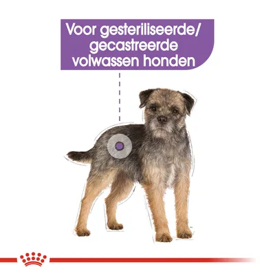 Voor gesteriliseerde/gecastreerde volwassen honden