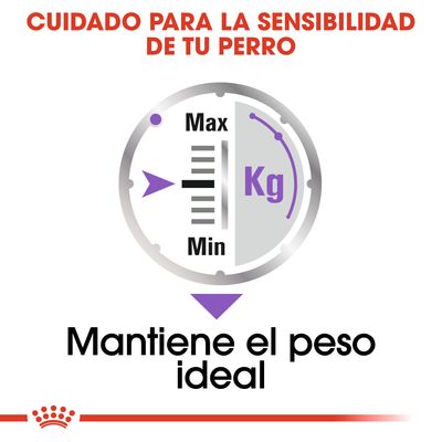 Cuidado para la sensibilidad de tu perro. Indicador con escala de peso en kg, de Min a Max. Texto: Mantiene el peso ideal.