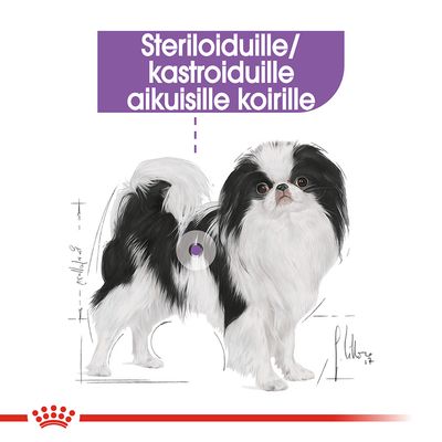 Steriloiduille/kastroiduille aikuisille koirille -teksti piirroskuvan yläpuolella, jossa mustavalkoinen pieni koira seisoo. Royal Canin -brändin kruunu alareunassa.