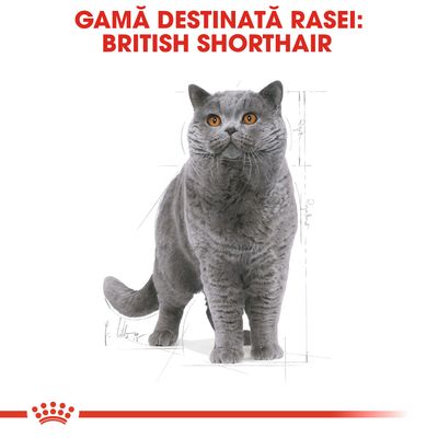 GAMĂ DESTINATĂ RASEI: BRITISH SHORTHAIR, text roșu deasupra unei ilustrații cu o pisică British Shorthair gri. Textul este în limba română și engleză.