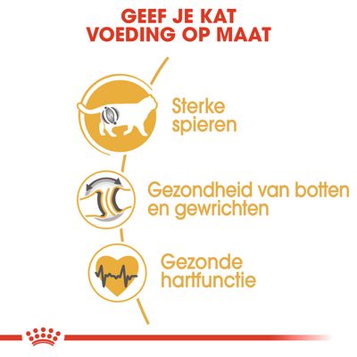 Geef je kat voeding op maat. Sterke spieren, gezondheid van botten en gewrichten, gezonde hartfunctie.
