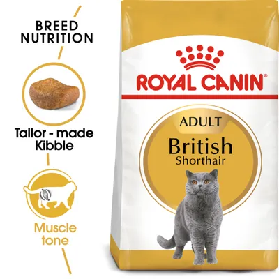 Breed nutrition product for adult British Shorthair, highlighting tailor-made kibble and muscle tone support. Visible packaging shows product name and features.