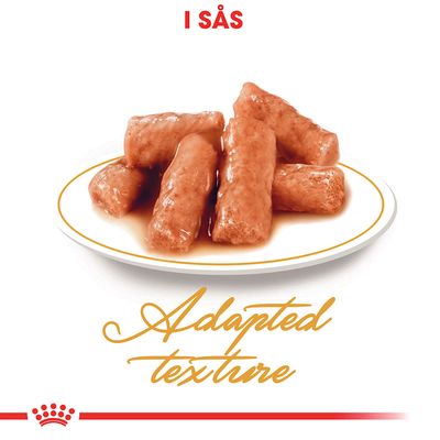 Tallrik med köttbitar i sås. Text: I SÅS, Adapted texture.