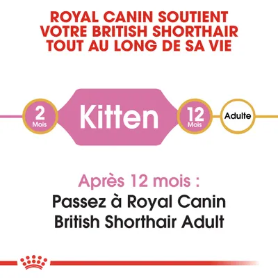 Royal Canin soutient votre British Shorthair tout au long de sa vie. Après 12 mois : passez à Royal Canin British Shorthair Adult. Texte en anglais : Kitten, British Shorthair Adult.