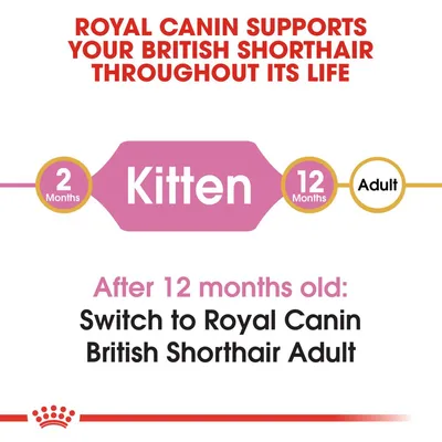 ROYAL CANIN SUPPORTS YOUR BRITISH SHORTHAIR THROUGHOUT ITS LIFE. 2 Months Kitten 12 Months Adult. After 12 months old: Switch to Royal Canin British Shorthair Adult. Text på engelska.