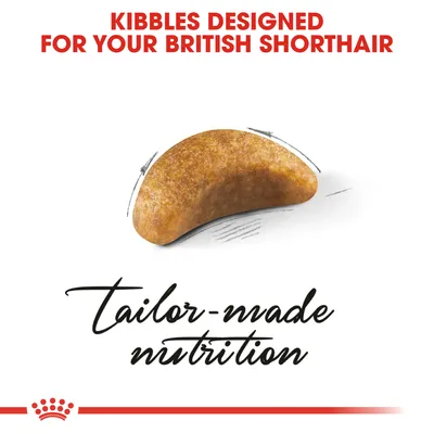 Text: KIBBLES DESIGNED FOR YOUR BRITISH SHORTHAIR. Bild på ett foderkroket. Text: tailor-made nutrition.