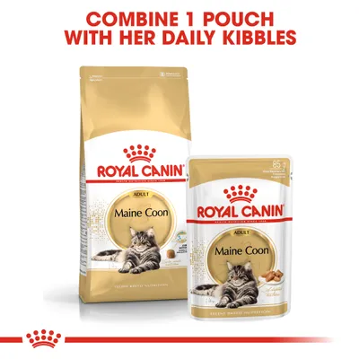 Instructional image showing Royal Canin Maine Coon Adult food bag and pouch with the text: Combine 1 pouch with her daily kibbles.