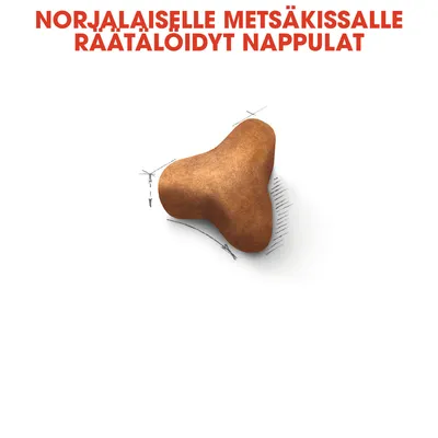 Norjalaiselle metsäkissalle räätälöidyt nappulat -teksti ja yksi ruskea kolmiomainen nappula, jonka ympärillä mittaviivoja.