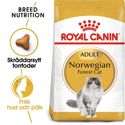 Royal Canin Adult Norwegian Forest Cat torrfoder. Text: Skräddarsytt torrfoder, Frisk hud och päls, Breed Nutrition. Bild på katt och foderbit.