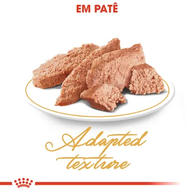 Prato com patê, texto visível: 'EM PATÊ' e 'Adapted texture'.