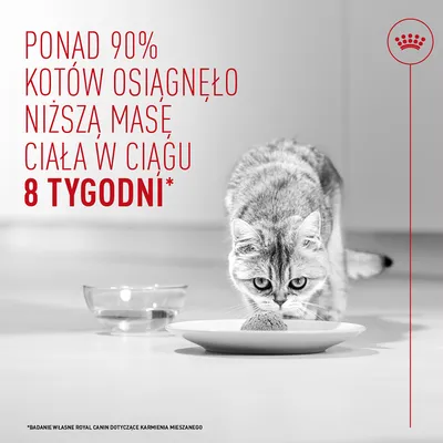 Ponad 90% kotów osiągnęło niższą masę ciała w ciągu 8 tygodni. Na podstawie badania Royal Canin dotyczącego żywienia mieszanego. Ponad 90% kotów osiągnęło niższą masę ciała w ciągu 8 tygodni. Na podstawie badania Royal Canin dotyczącego żywienia mieszanego.