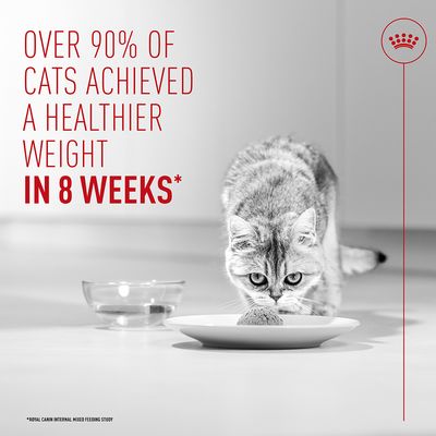 Royal Canin Light Weight Care AirLift™ Mousse - wet cat food