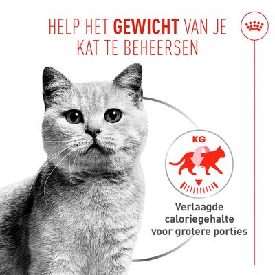 Royal Canin Light Weight Care AirLift Mousse
