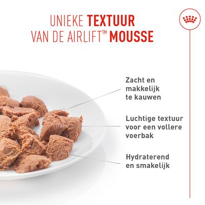 Royal Canin Appetite Control Care AirLift Mousse