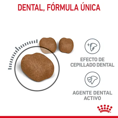 Pienso con texto: DENTAL, FÓRMULA ÚNICA. Efecto de cepillado dental. Agente dental activo. Tres croquetas marrones y logotipo Royal Canin visibles.