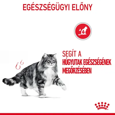 EGÉSZSÉGÜGYI ELŐNY. SEGÍT A HÚGYUTAK EGÉSZSÉGÉNEK MEGŐRZÉSÉBEN. Fekete-fehér macska, piros körben macska sziluett ikon, Royal Canin logó.