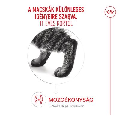 Royal Canin Ageing 11+