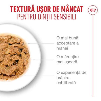 Textură ușor de mestecat pentru dinți sensibili. Acceptare mai bună a hranei, mărunțire mai ușoară, experiență de hrănire echilibrată.
