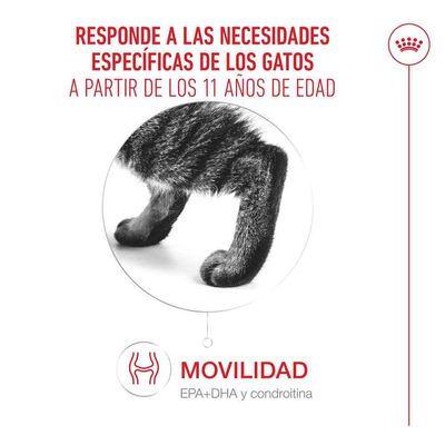 Royal Canin Ageing 11+ Mousse - Pack % - 24 x 85 g