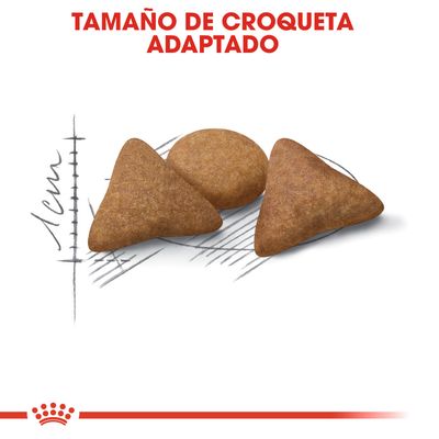 Tamaño de croqueta adaptado. Imagen de tres croquetas, dos triangulares y una redonda, junto a escala gráfica de 1 cm.