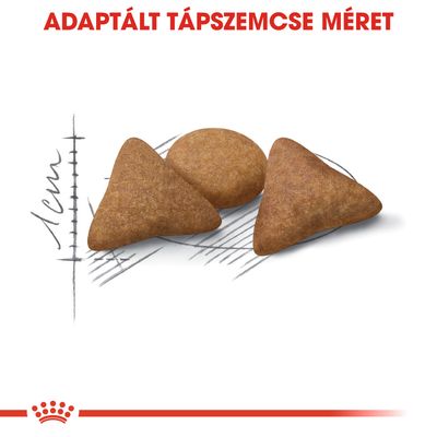 Adaptált tápszemcse méret felirat, három különböző alakú tápdarab, háttérben 1 cm-es méretskála látható.