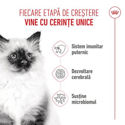 Grafică cu text în română: Fiecare etapă de creștere are cerințe proprii. Sistem imunitar puternic, dezvoltarea creierului, susținerea microbiomului.
