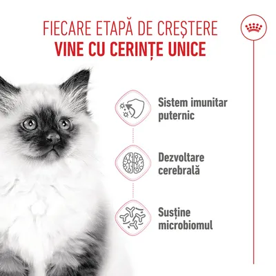 Grafică cu text în română: Fiecare etapă de creștere are cerințe proprii. Sistem imunitar puternic, dezvoltarea creierului, susținerea microbiomului.
