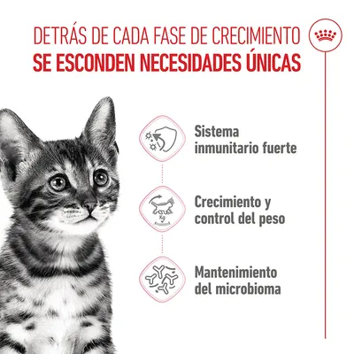 Royal Canin Kitten Sterilised - 3,5 kg