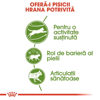 Oferă-i pisicii hrana potrivită. Pentru o activitate susținută, rol de barieră al pielii, articulații sănătoase. Text și pictograme verzi pentru beneficii alimentare.