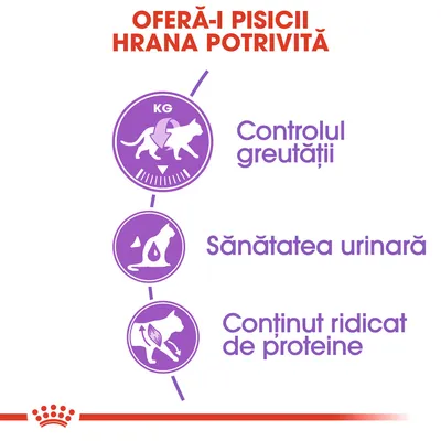 OFERĂ-I PISICII HRANA POTRIVITĂ. Controlul greutății, Sănătatea urinară, Conținut ridicat de proteine – beneficii prezentate pentru hrana de pisici.