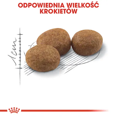 Trzy krokiety karmy na tle szkicu z miarką, tekst: Odpowiednia wielkość krokietów