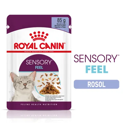 ROYAL CANIN SENSORY FEEL, 85 g, rosol. Na obalu kočka a kousky krmiva v rosolu. Text: Morcels in jelly, SENSORY FEEL, ROSOL, FELINE HEALTH NUTRITION.