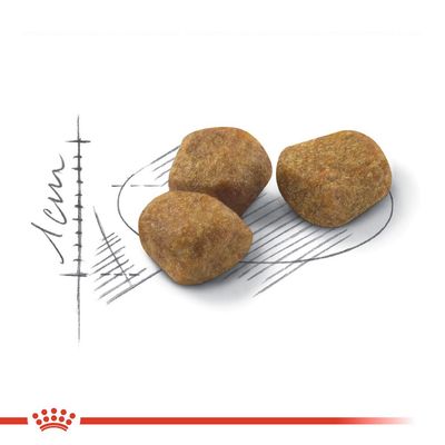 Tre stykker tørfoder med skitse af størrelsesdiagram, viser ca. 1 cm i diameter. Rød krone og linje nederst.