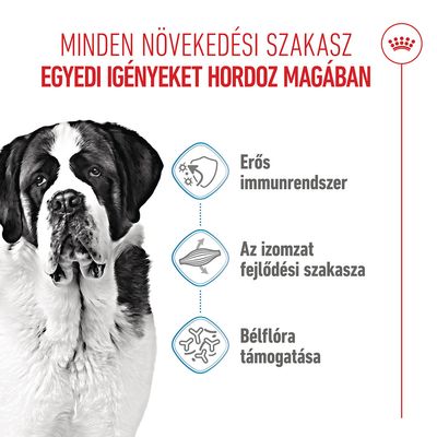 Royal Canin Giant Junior