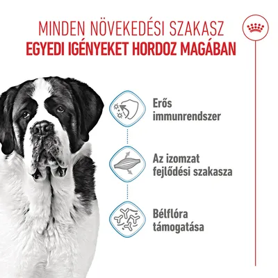 Royal Canin Giant Junior - 15 kg